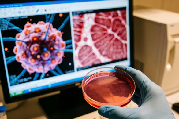 sistem informasi terpadu: Pengelolaan Penelitian dan Pengabdian Masyarakat