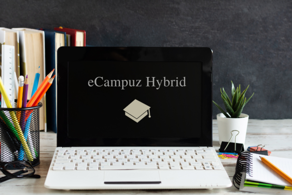 siakad customable ecampuz hyrbid